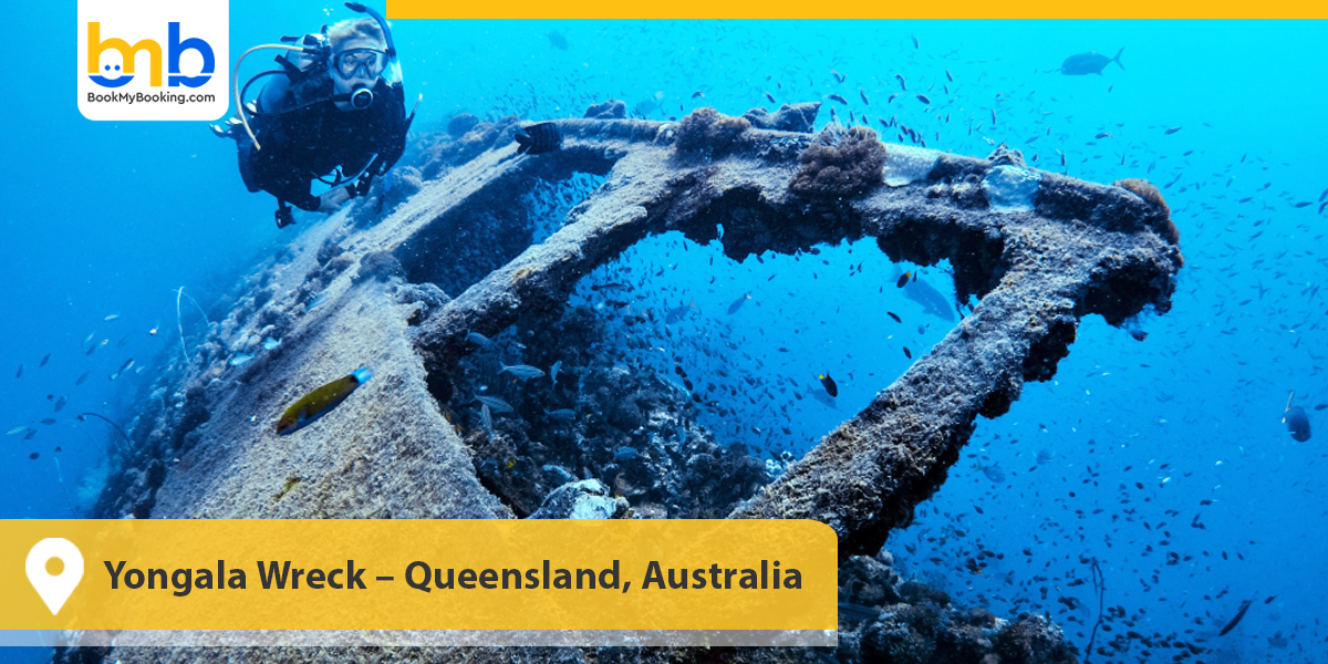 Yongala Wreck &ndash; Queensland