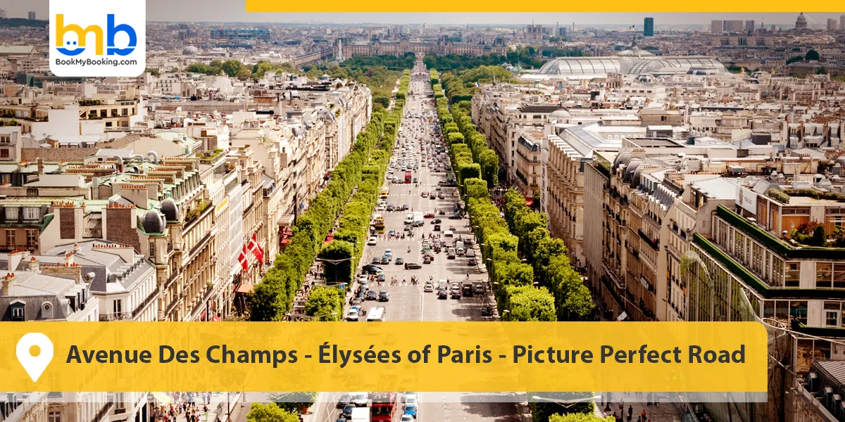Avenue Des Champs-&Eacute;lys&eacute;es of Paris- Picture Perfect Road