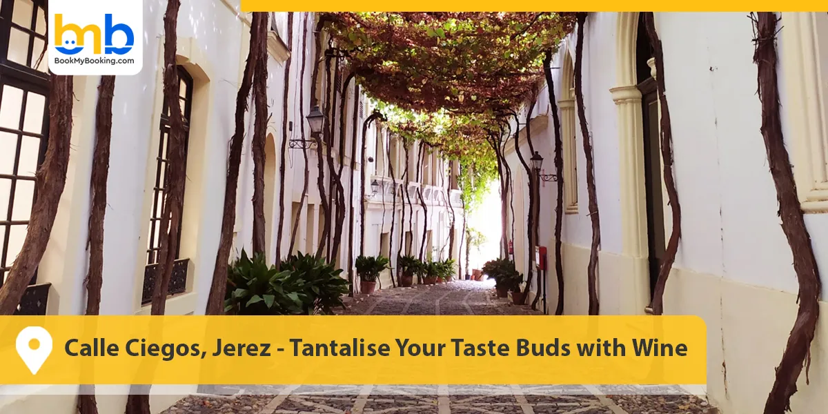 Calle Ciegos, Jerez- Tantalise Your Taste Buds with Wine
