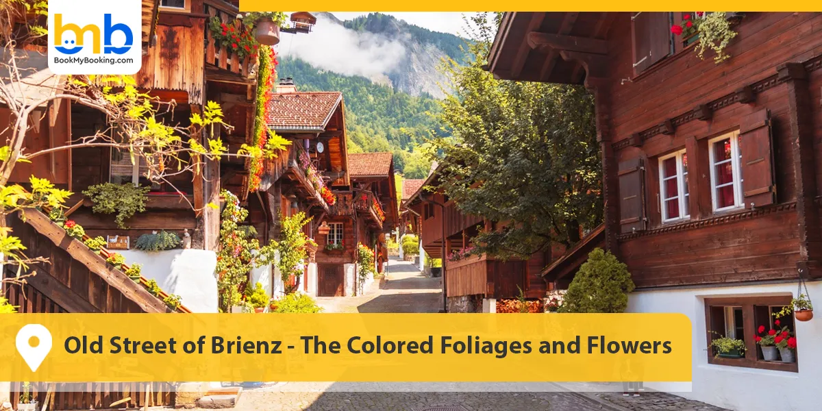 Old Street of Brienz- The Colored Foliages and Flowers