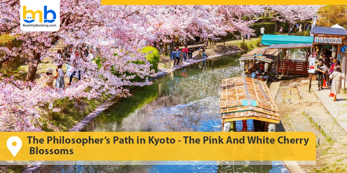 The Philosopher&rsquo;s Path in Kyoto- The Pink And White Cherry Blossoms