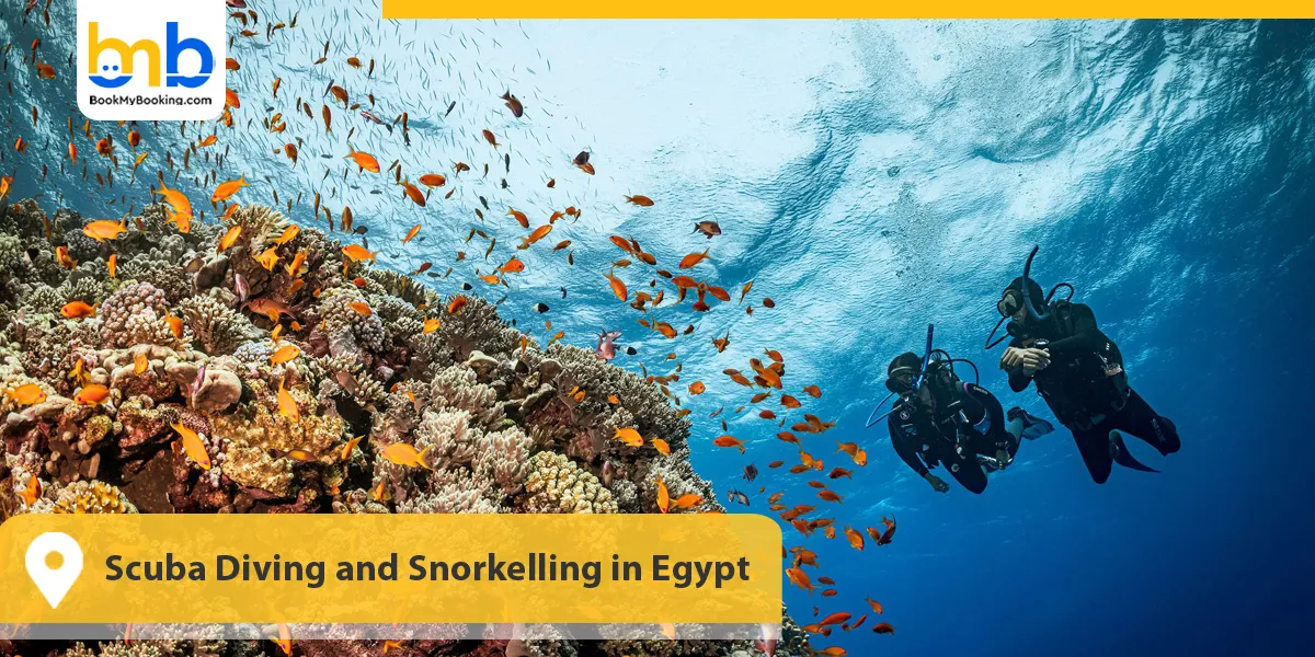 Scuba Diving and Snorkelling in Egypt&nbsp;