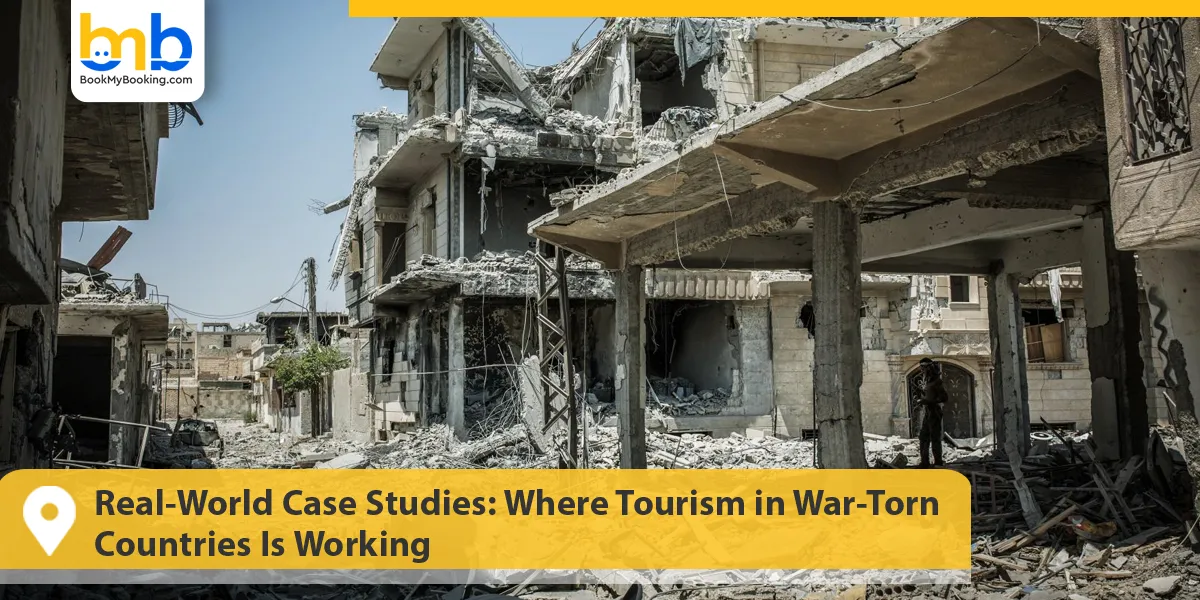 Real-World Case Studies