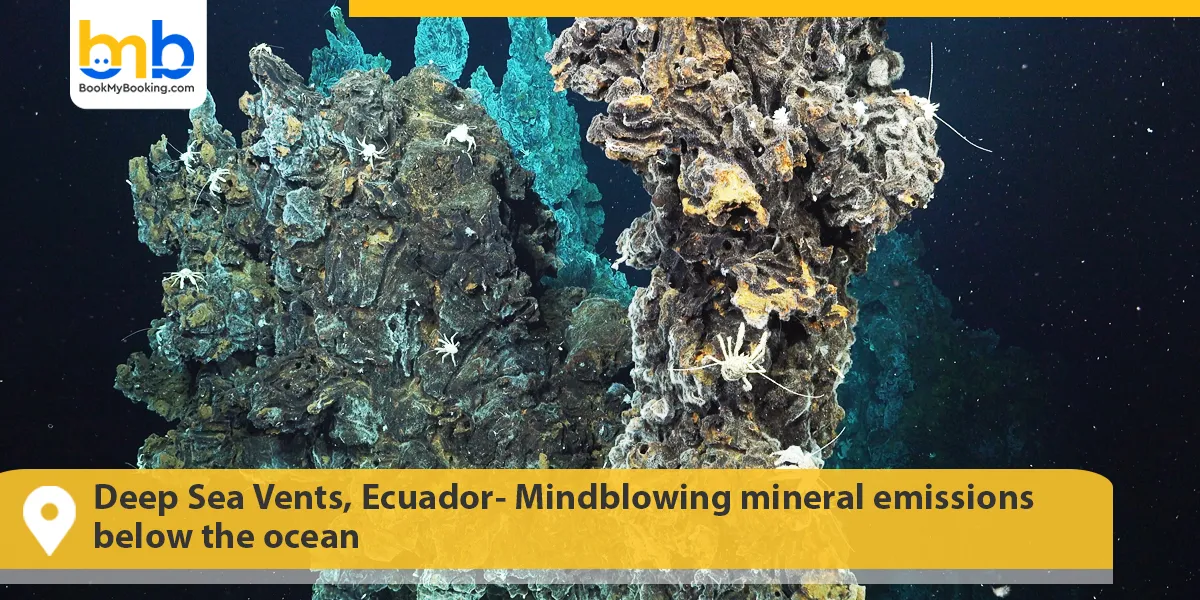 Deep Sea Vents, Ecuador- Mindblowing mineral emissions below the ocean