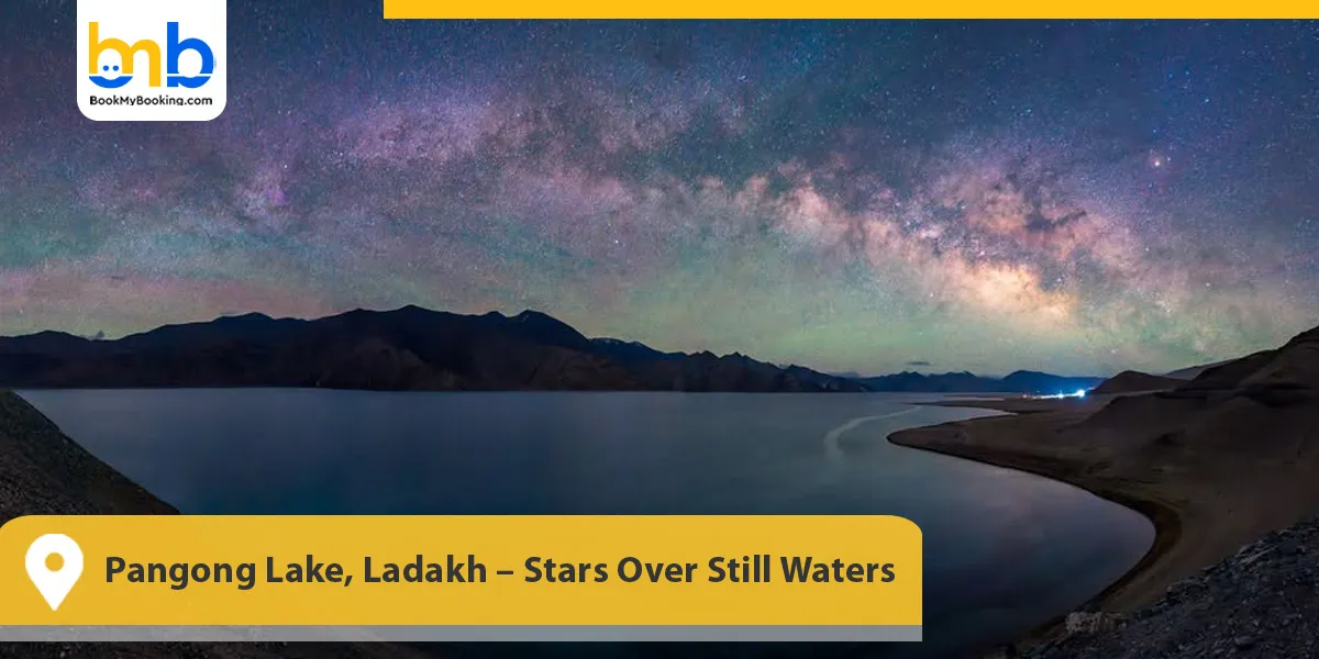 Pangong Lake, Ladakh &ndash; Stars Over Still Waters