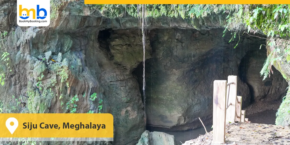 Siju Cave Meghalaya