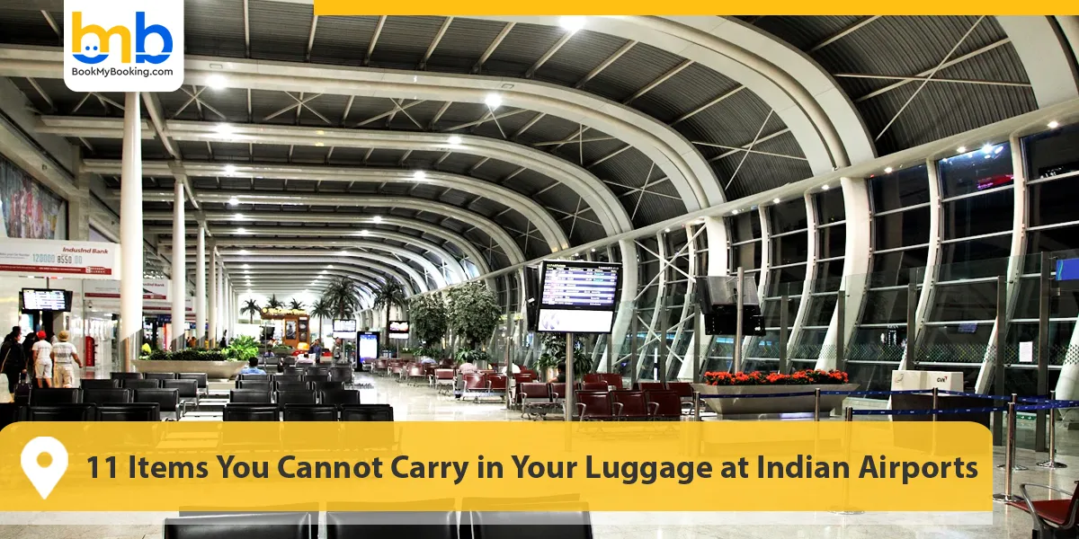 11 Items You Cannot Carry in Your Luggage at Indian Airports
