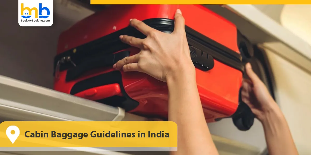 Cabin Baggage Guidelines in India