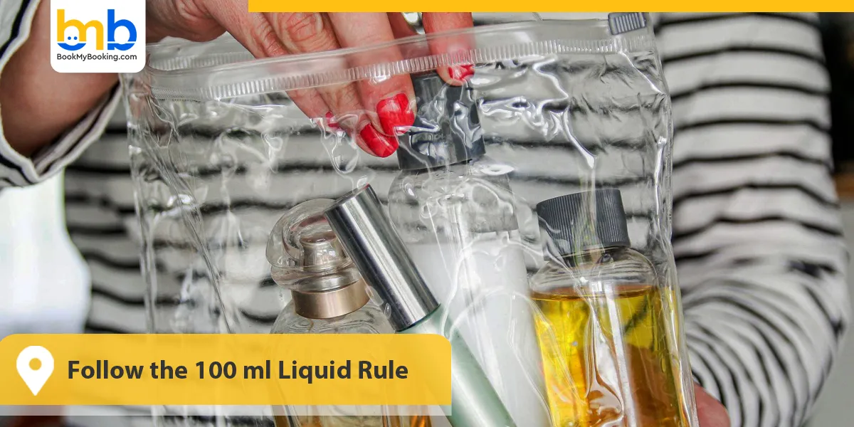 Follow the 100 ml Liquid Rule