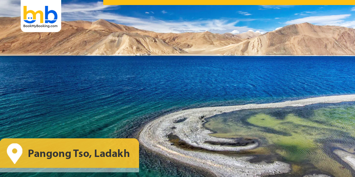 Pangong Tso, Ladakh