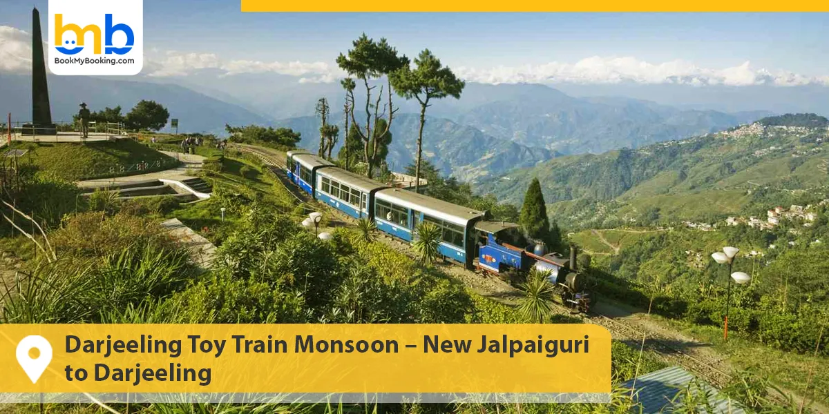 Darjeeling Toy Train Monsoon