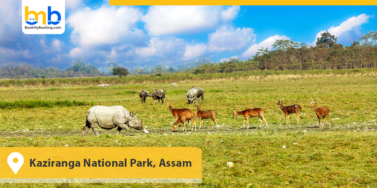 Kaziranga National Park