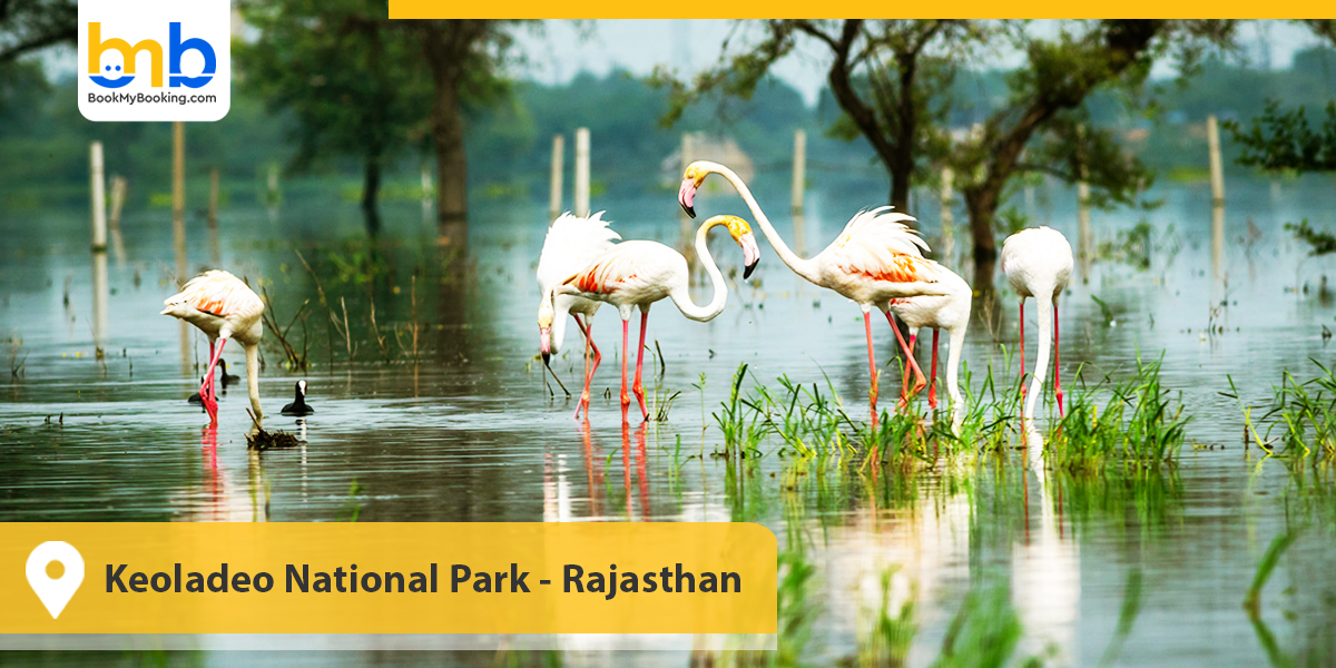 Keoladeo National Park