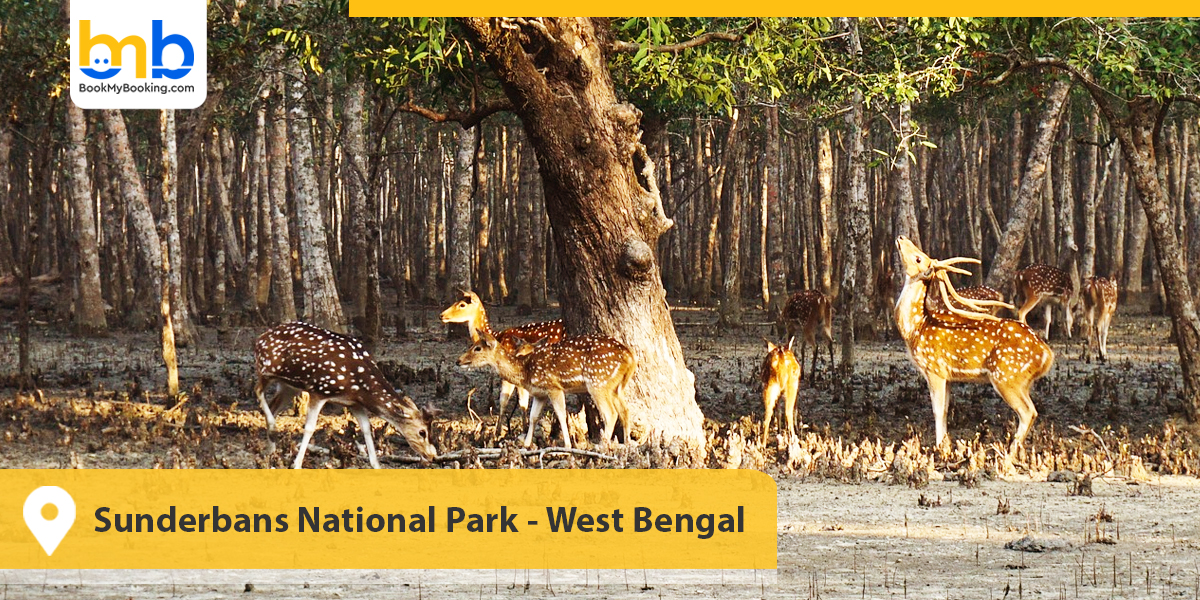 Sunderbans National Park