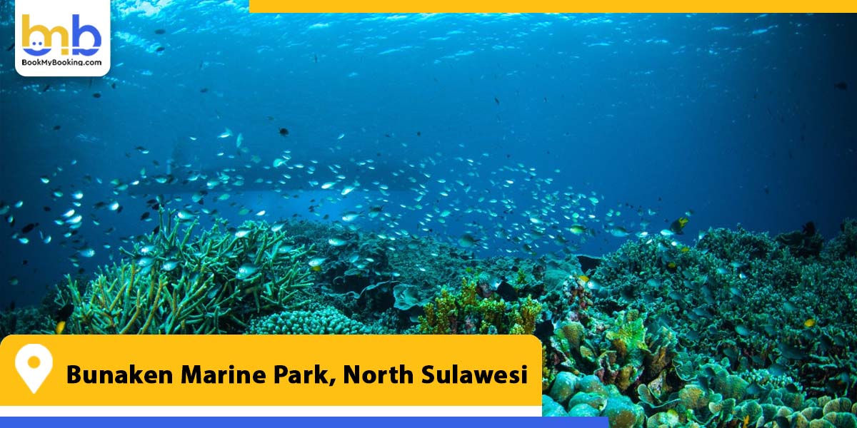 bunaken marine park north sulawesi from bookmybooking