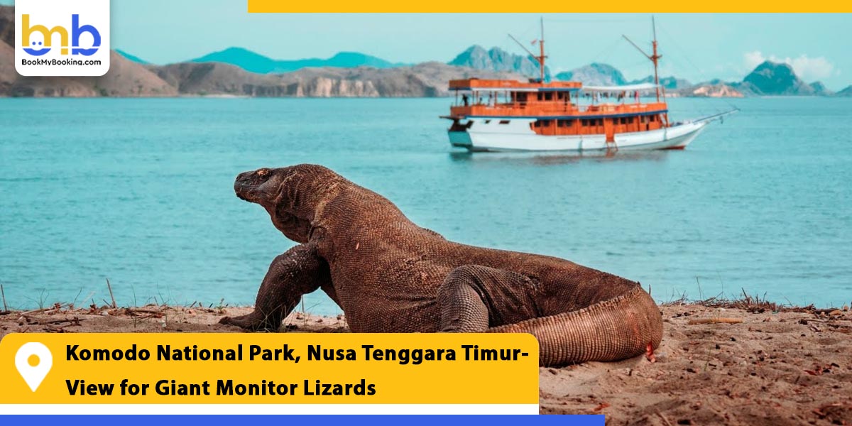 komodo national park nusa tenggara timur view for giant monitor lizards from bookmybooking