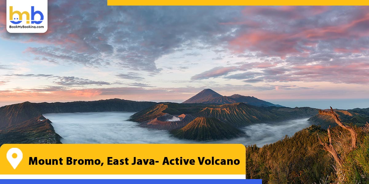 mount bromo east java active volcano from bookmybooking