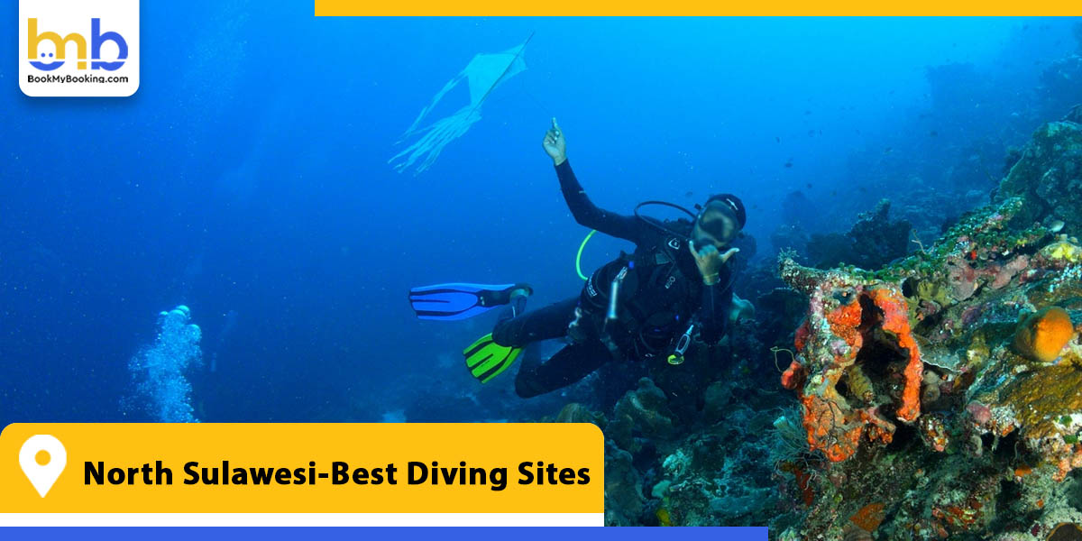 north sulawesi best diving sites from bookmybooking