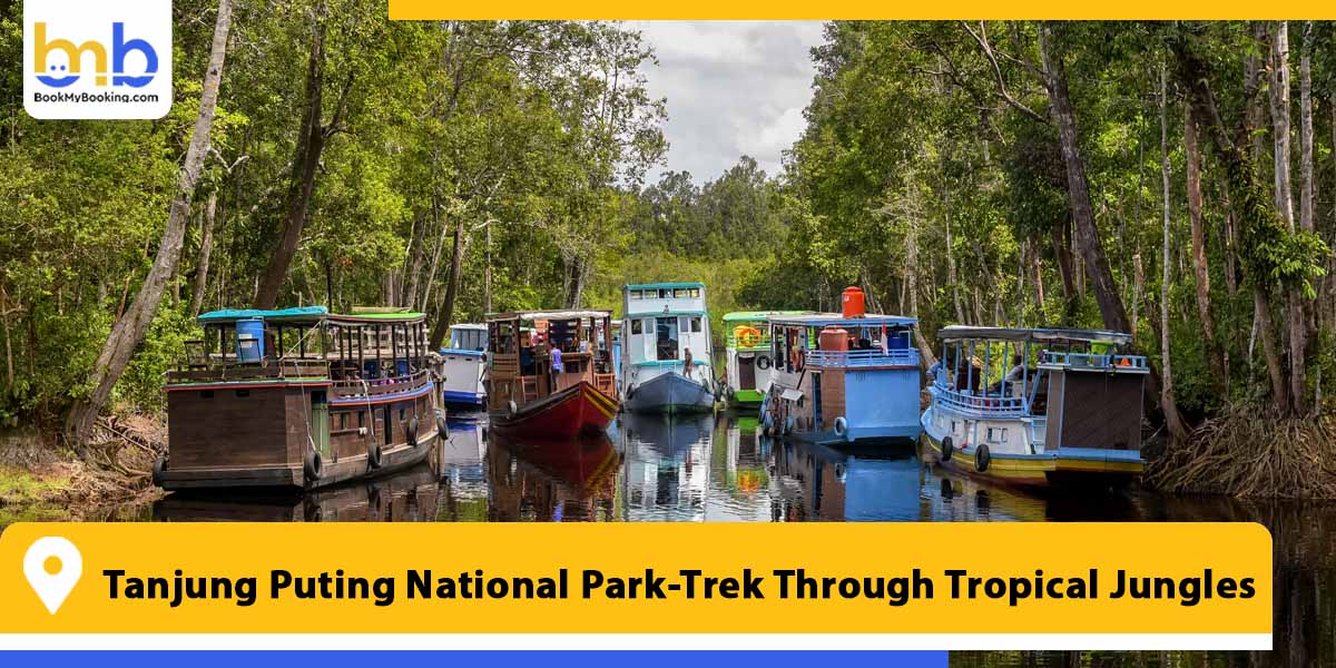 tanjung puting national park trek through tropical jungles from bookmybooking