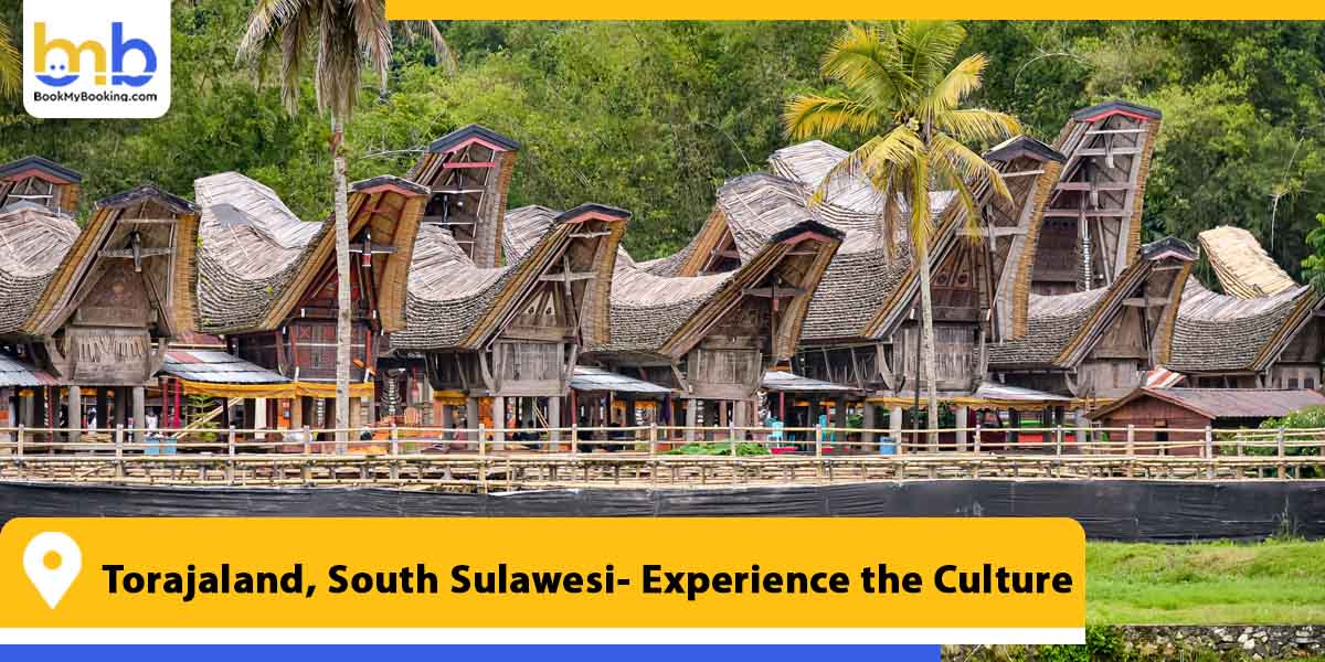torajaland south sulawesi experience the culture from bookmybooking