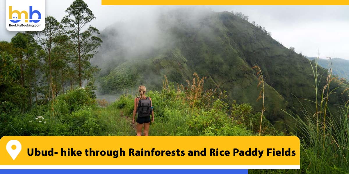 ubud hike through rainforests and rice paddy fields from bookmybooking