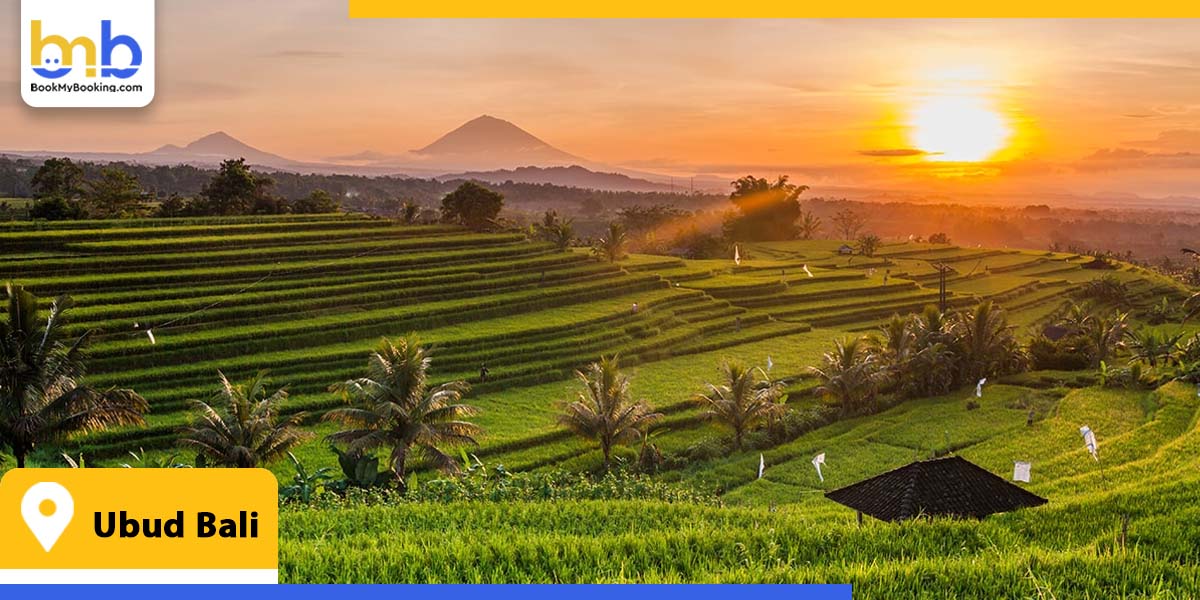 ubud bali from bookmybooking