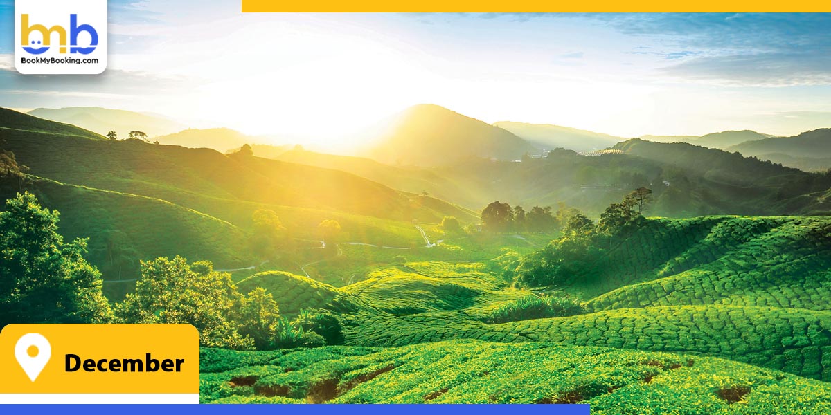 december from bookmybooking