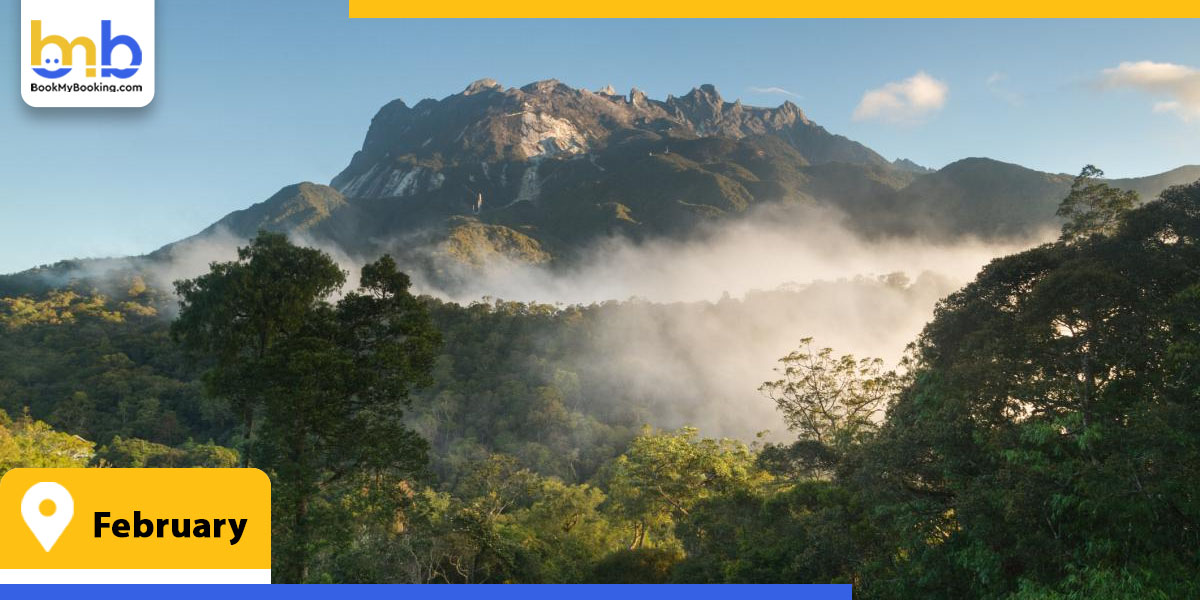 february from bookmybooking