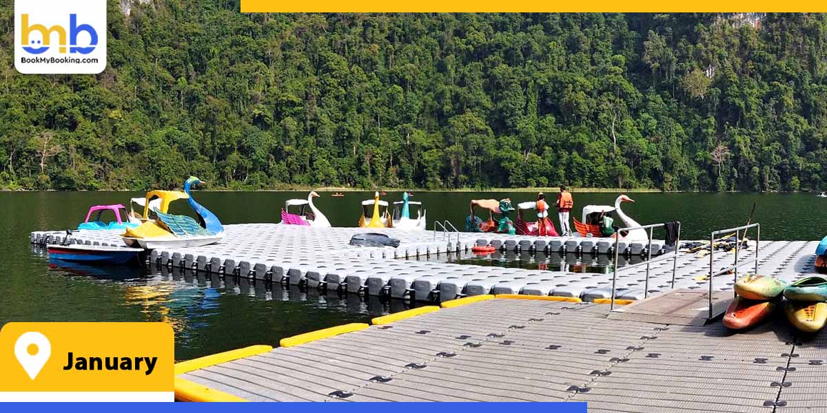 january from bookmybooking