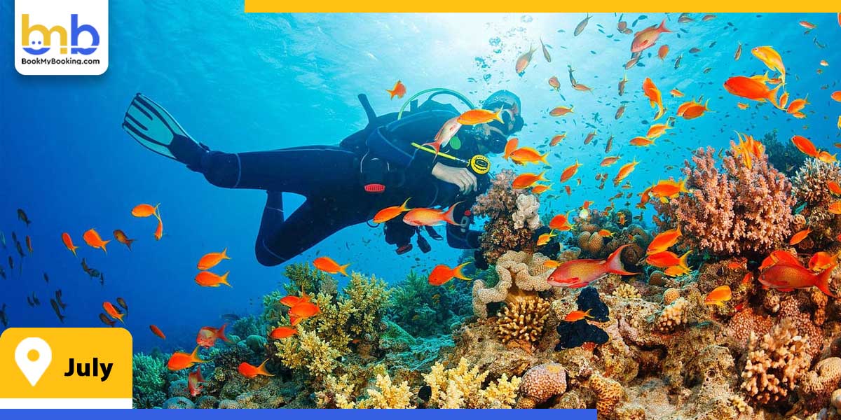 july from bookmybooking