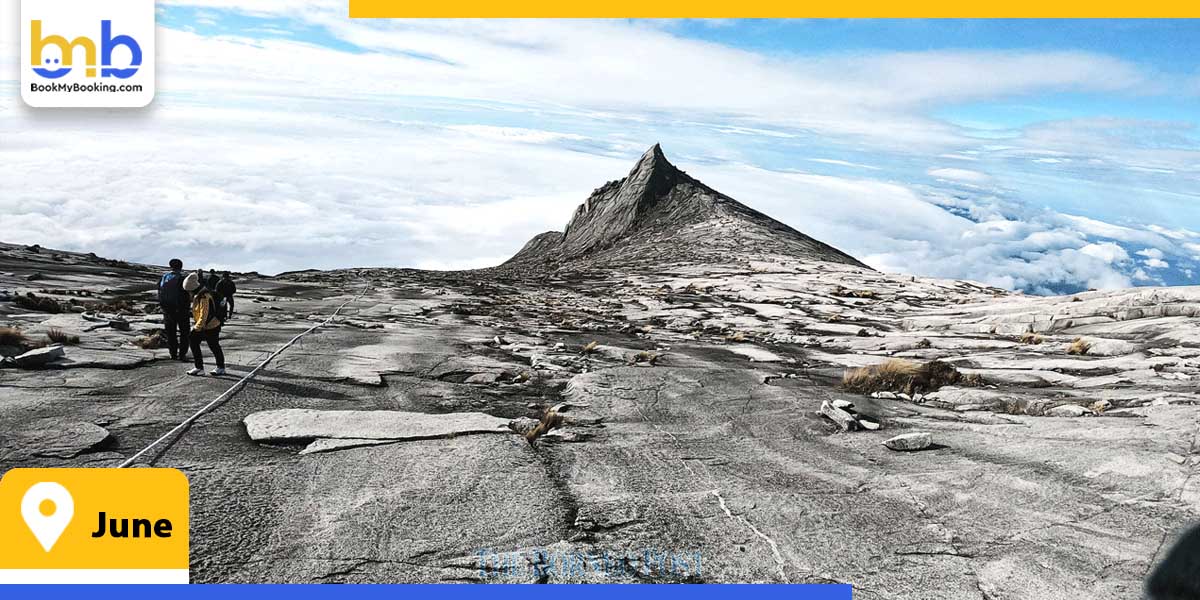 june from bookmybooking