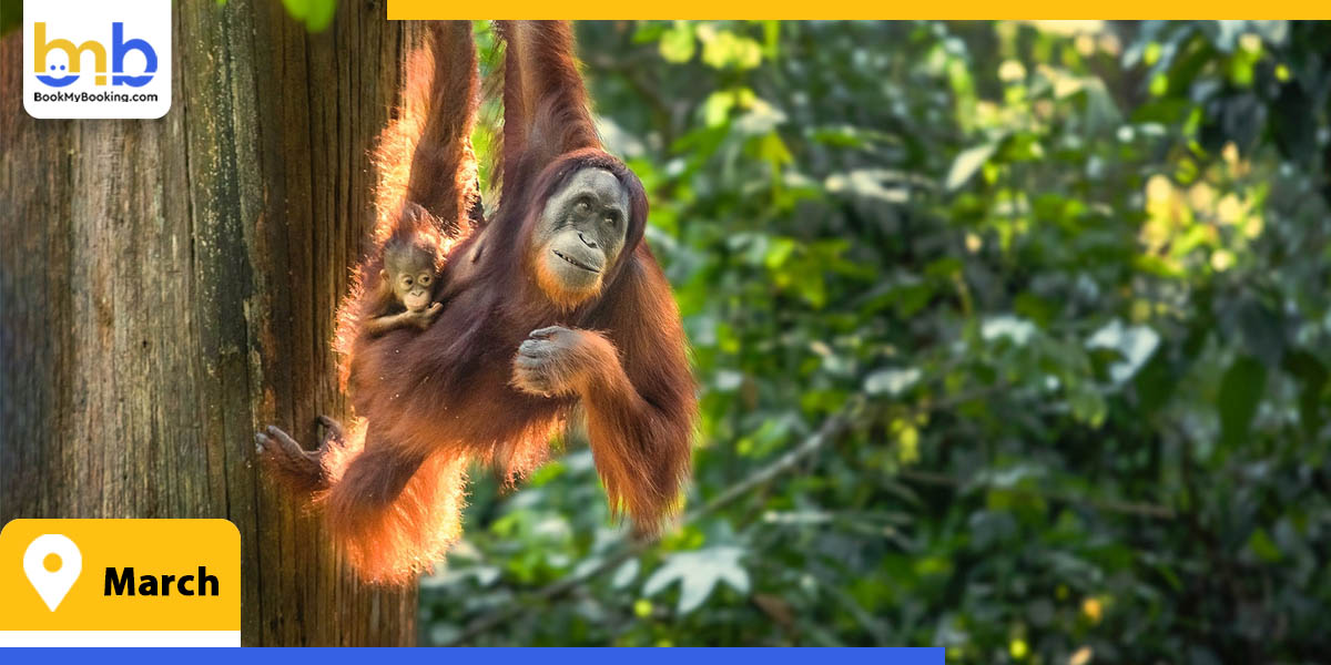 march from bookmybooking