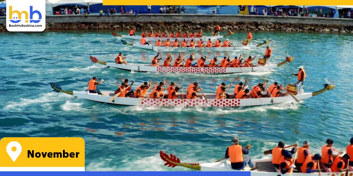 november from bookmybooking