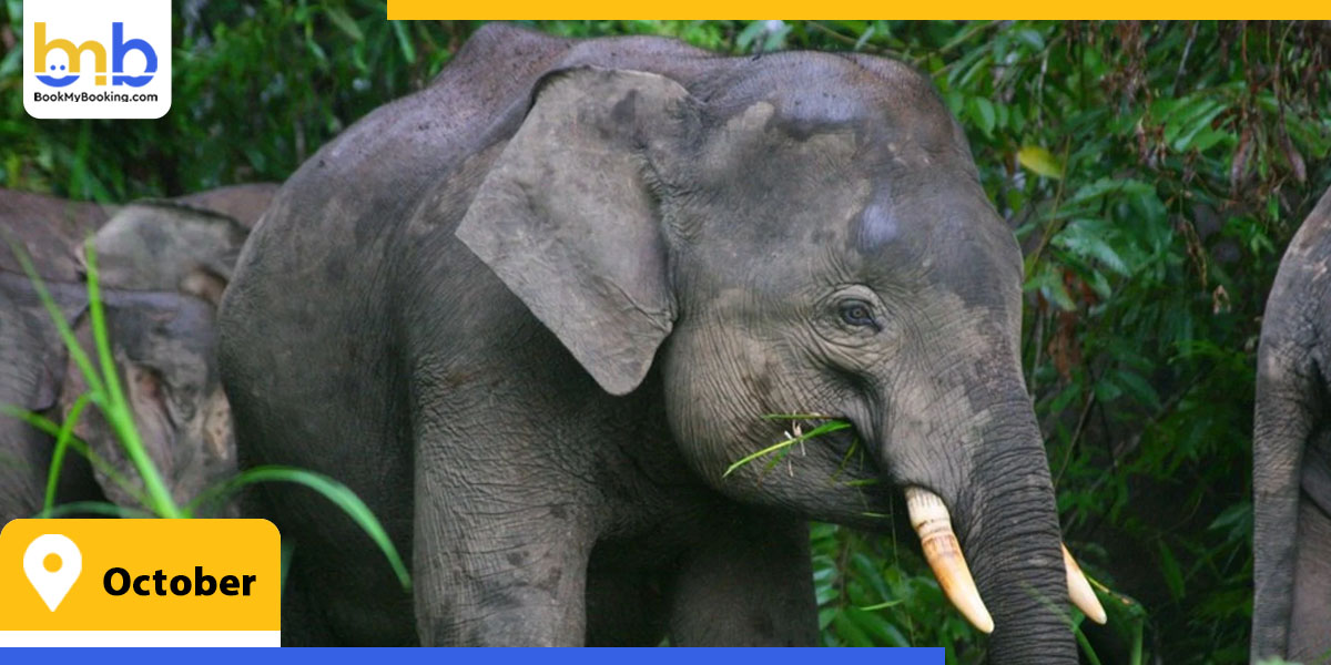 october from bookmybooking