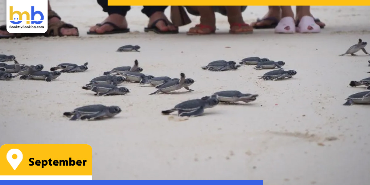 september from bookmybooking