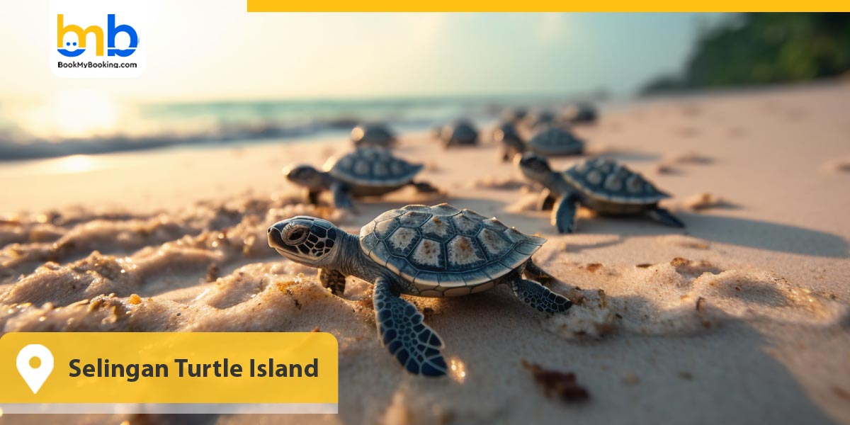 Selingan Turtle Island