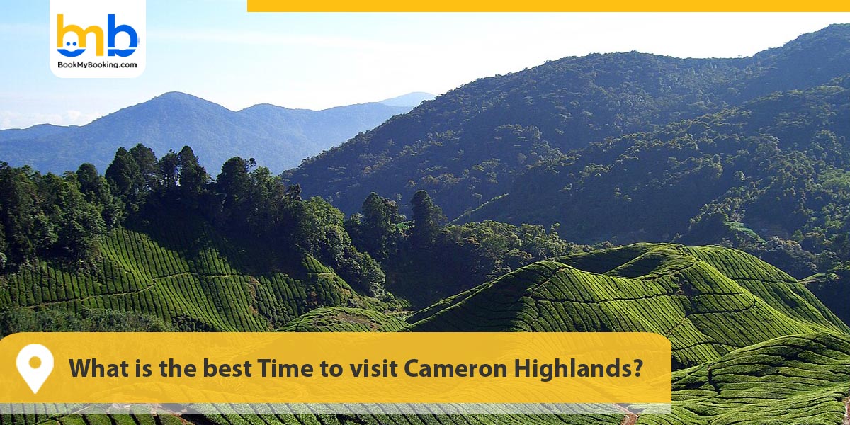 best Time to visit Cameron Highlands