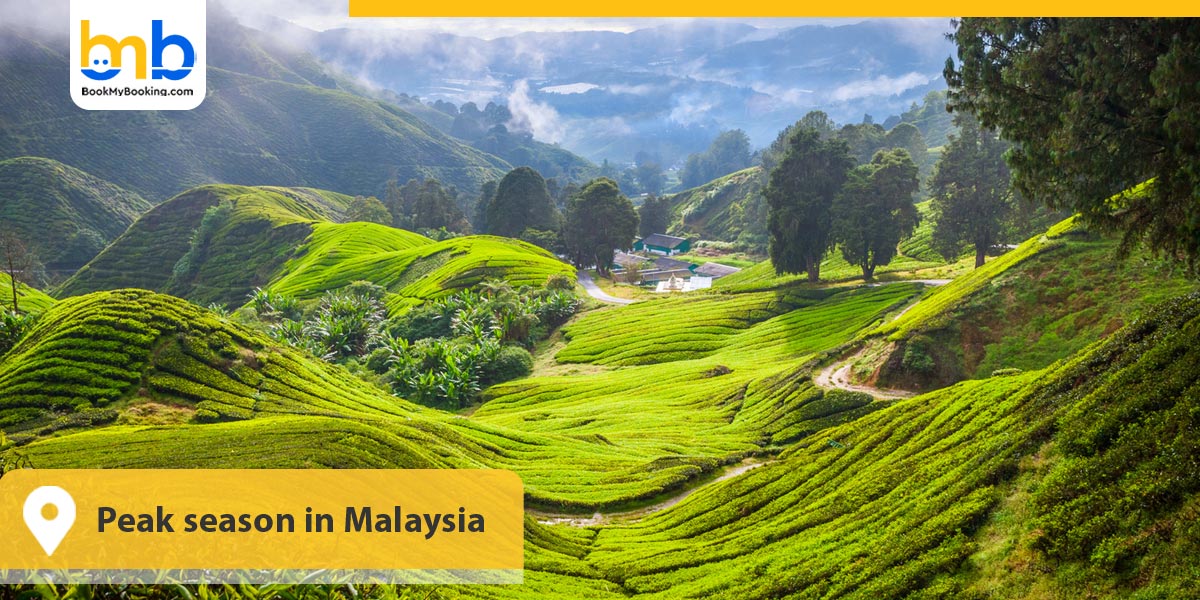 Peak season in Malaysia