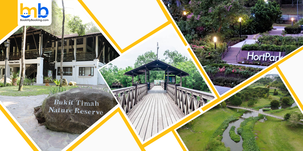 Bukit Timha Nature Reserve