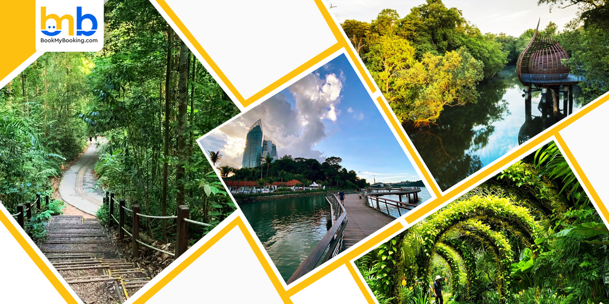 Bukit Timha Nature Reserve