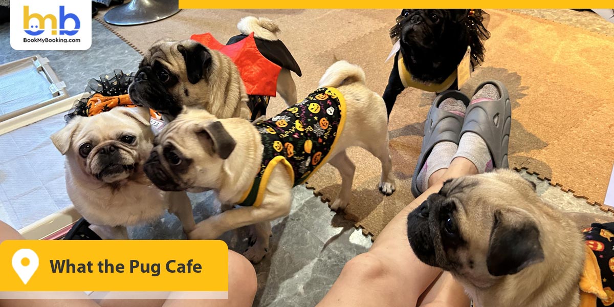What the Pug Cafe