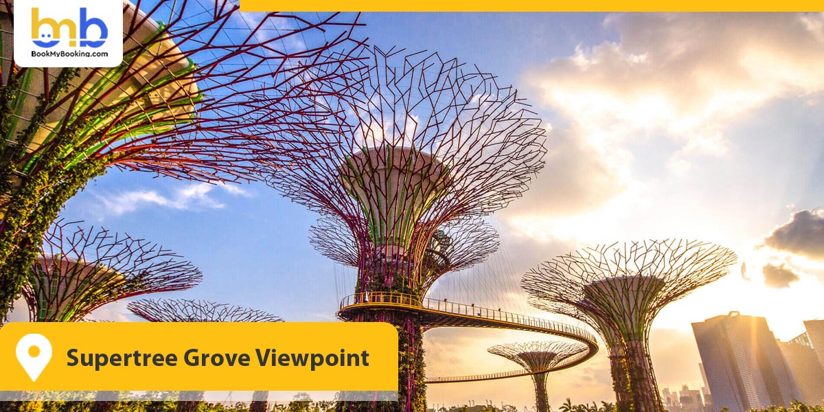 Supertree Grove Viewpoint