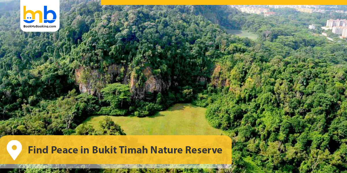 Bukit Timah Nature Reserve