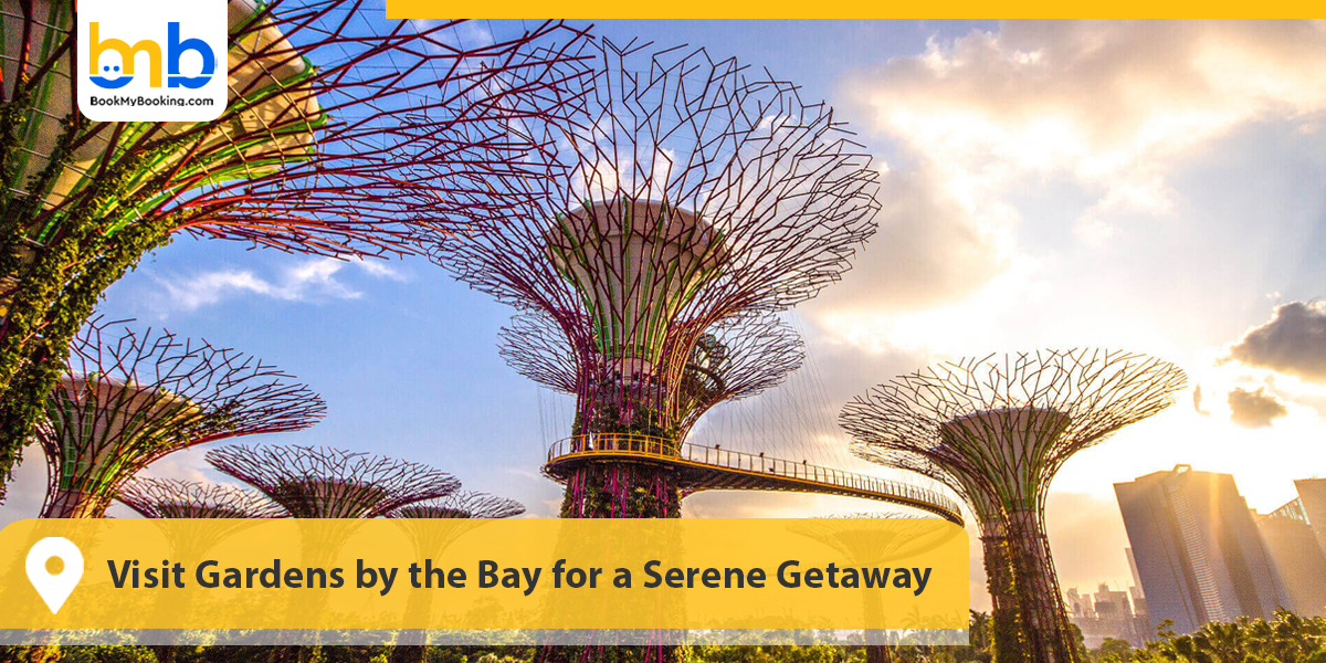 Visit Gardens by the Bay for a Serene Getaway