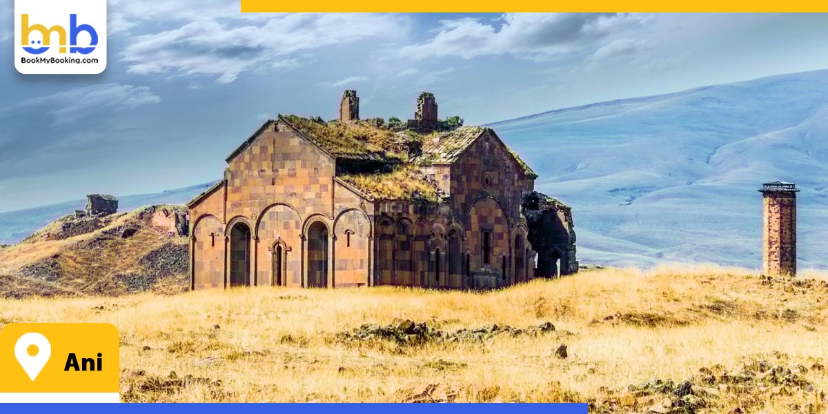 ani from bookmybooking