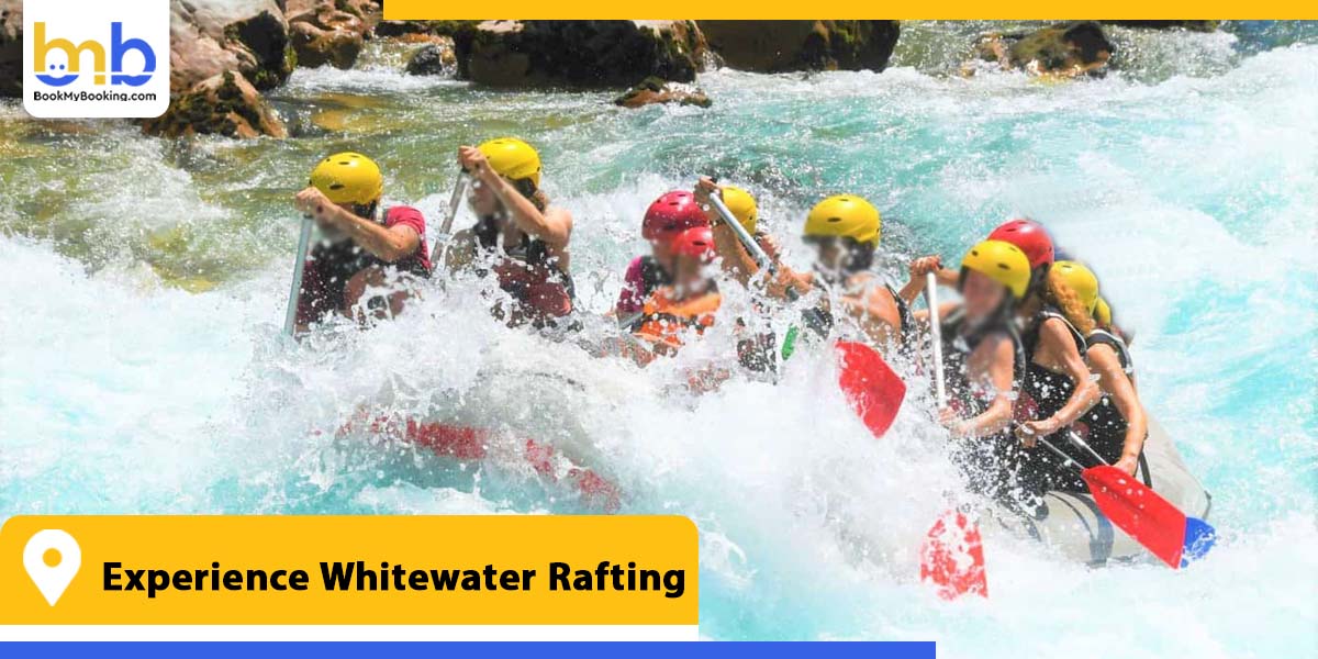 experience whitewater rafting from bookmybooking