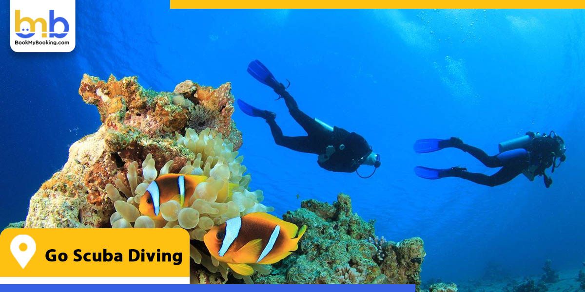 go scuba diving from bookmybooking