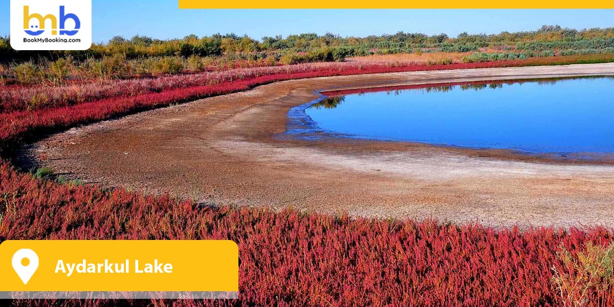 Aydarkul Lake