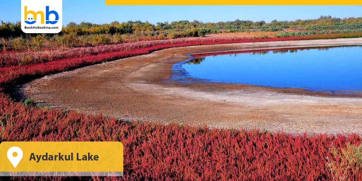 Aydarkul Lake
