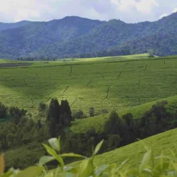 Burundi